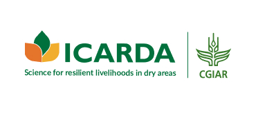 Логотип компании Icarda